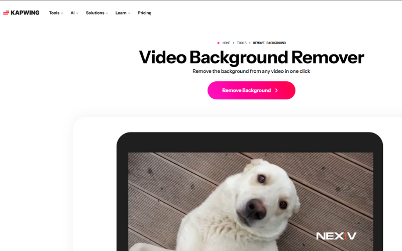 Kapwing Background Remover
