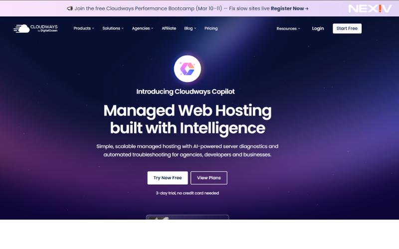 SiteGround vs brand name
